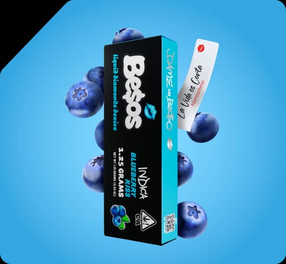BLUEBERRY KISS